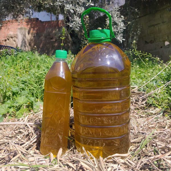 Soğuk Sıkım Zeytinyağı 1 litre - Görsel 2