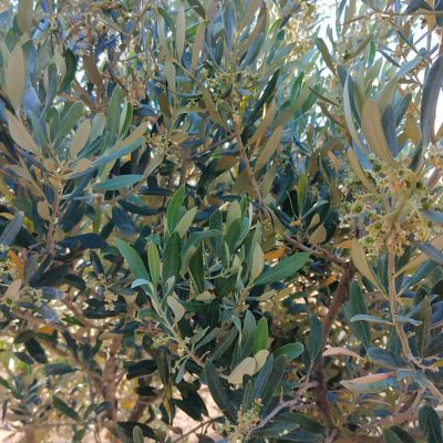 0ef9e57b-f5f4-440e-86e5-88ef7c17d56f