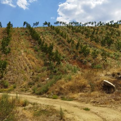 6db59f9f-6071-4660-bc1a-5a5eceacea45