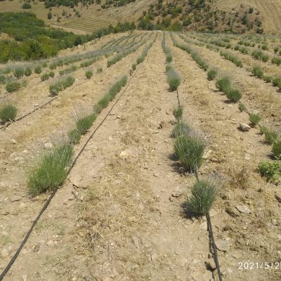 96303327-35cc-45d1-abf2-109778cfa4bb