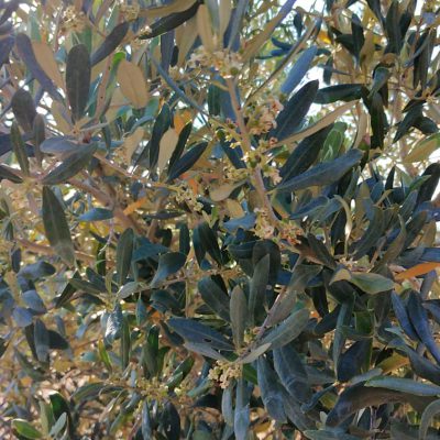 b069d1c1-caf6-4a05-b1aa-1ffeb210298f