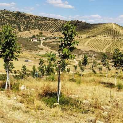 f9438caa-2645-485c-be50-c933f313d065